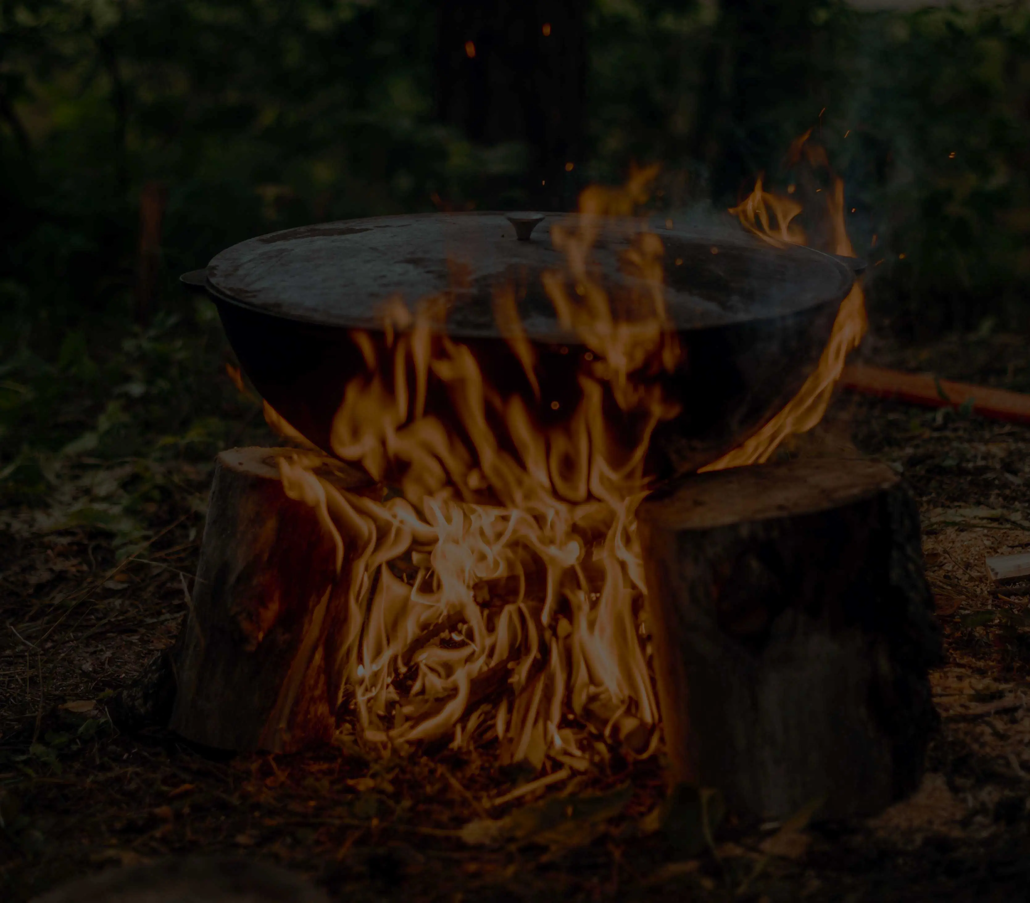 cooking in the forest on open flame